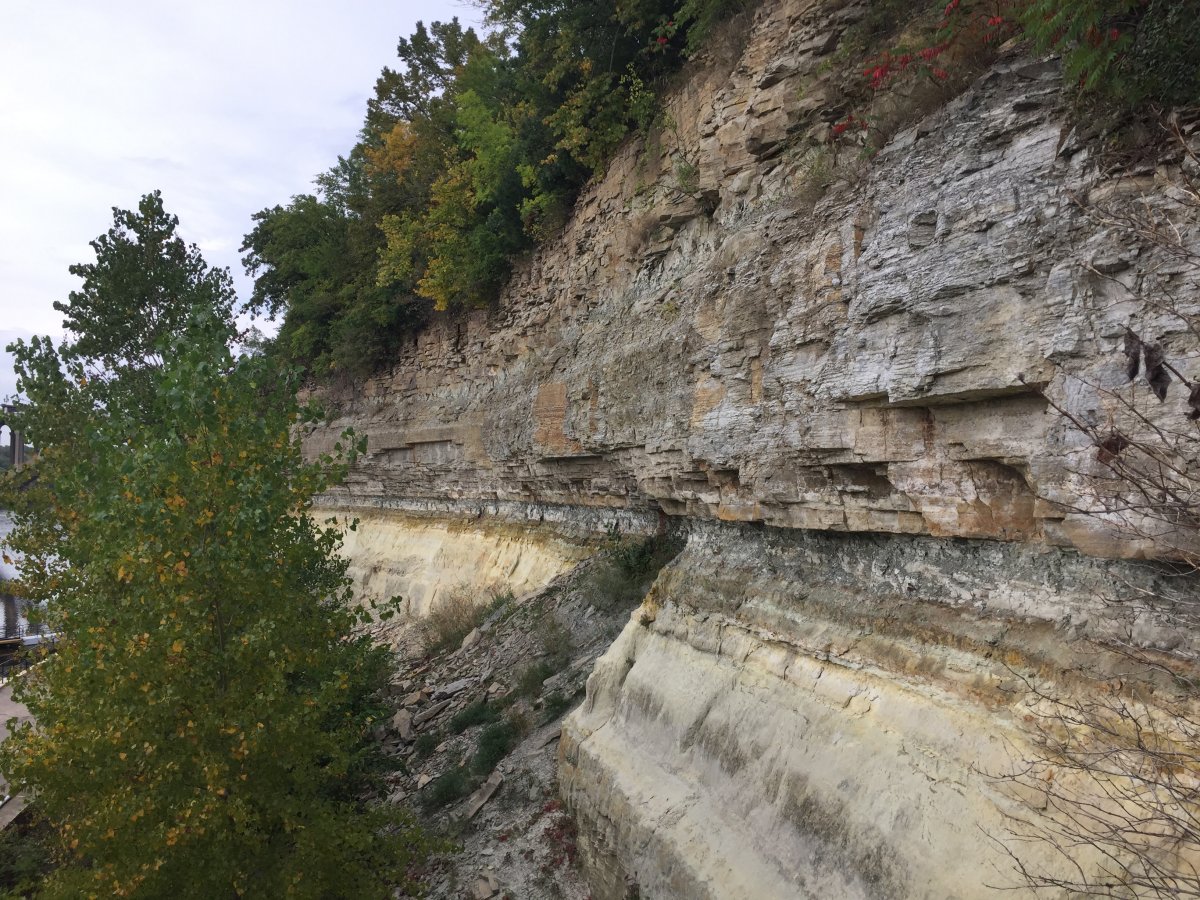 Outcrop of the St. Peter Sandstone (at base), Glenwood Shale (next unit above in section), and Platteville Limestone (top unit in section) along the Mississippi River bluff.