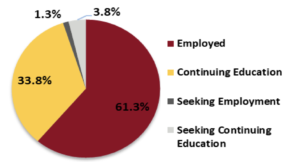 pie chart showing employed (61.3%), continuing education (33.8%), seeking employment (1.3%), seeking Continuing Education (3.8%) 