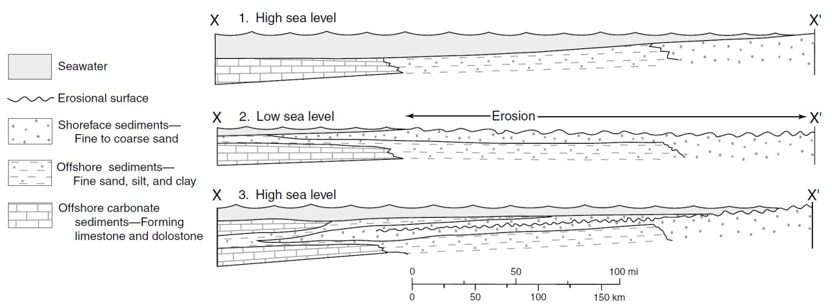 Profiles of shallow ocean conditions during the Early Paleozoic that depict how a widespread layer of sediment is formed during changes in sea level.