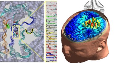 molecular dynamics and brain renderings