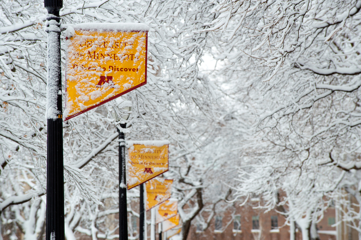 UMN flags and trees on the mall covered in snow.