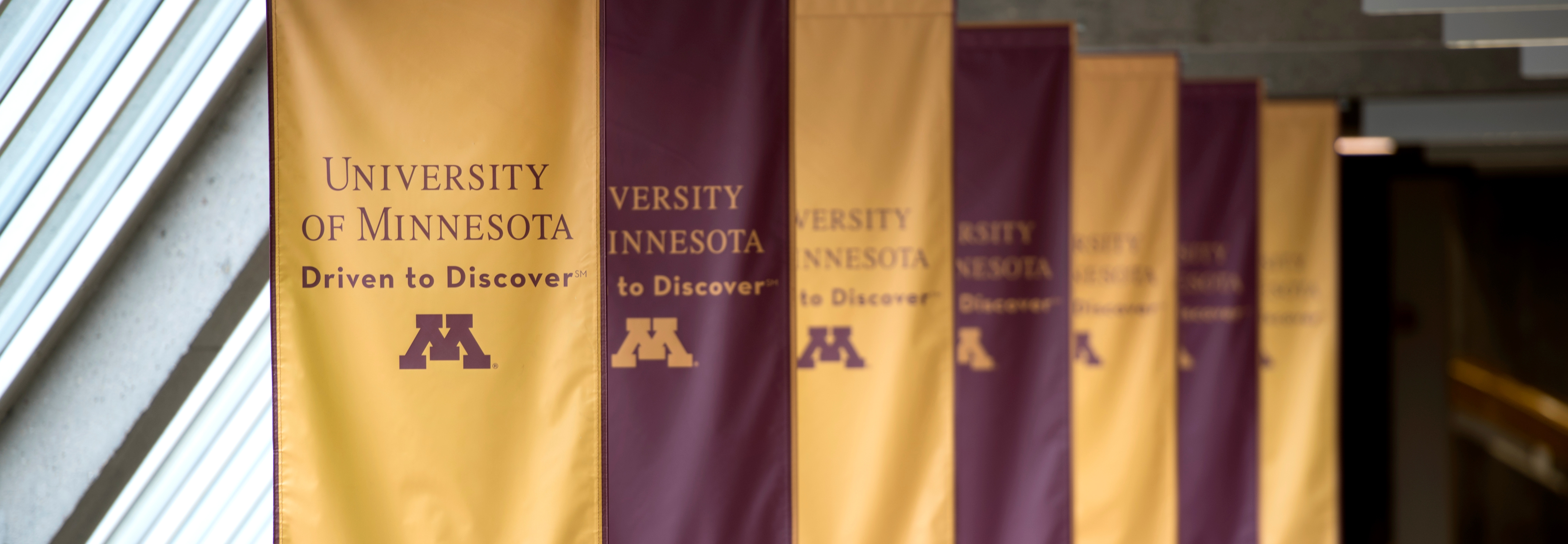 University of Minnesota - Driven to Discover Flags Hanging