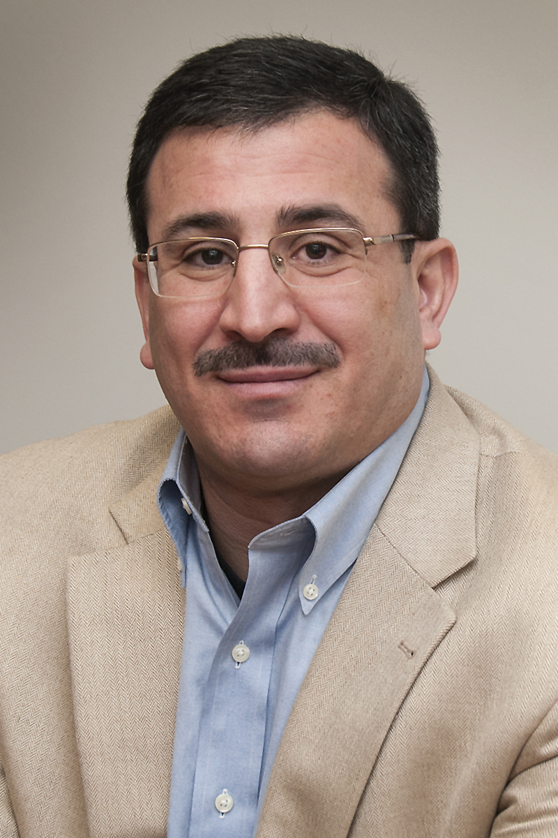 Professor Emad Ebbini