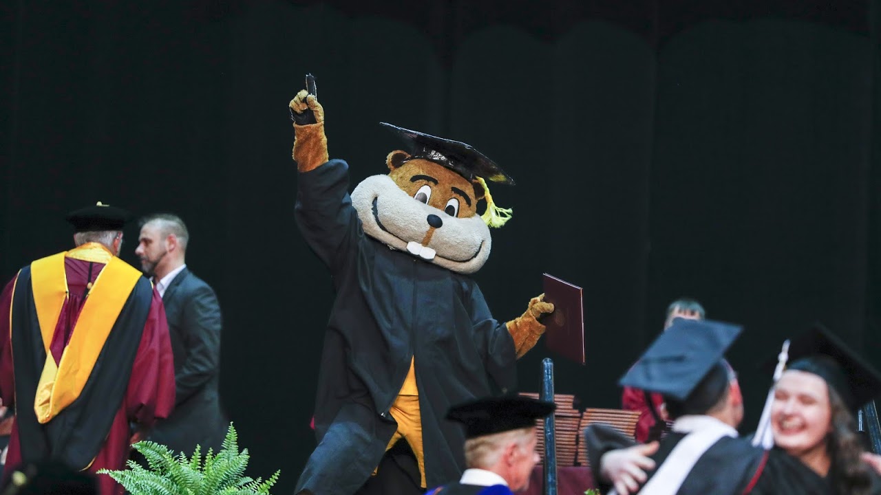 Goldy Gopher in cap and gown with diploma