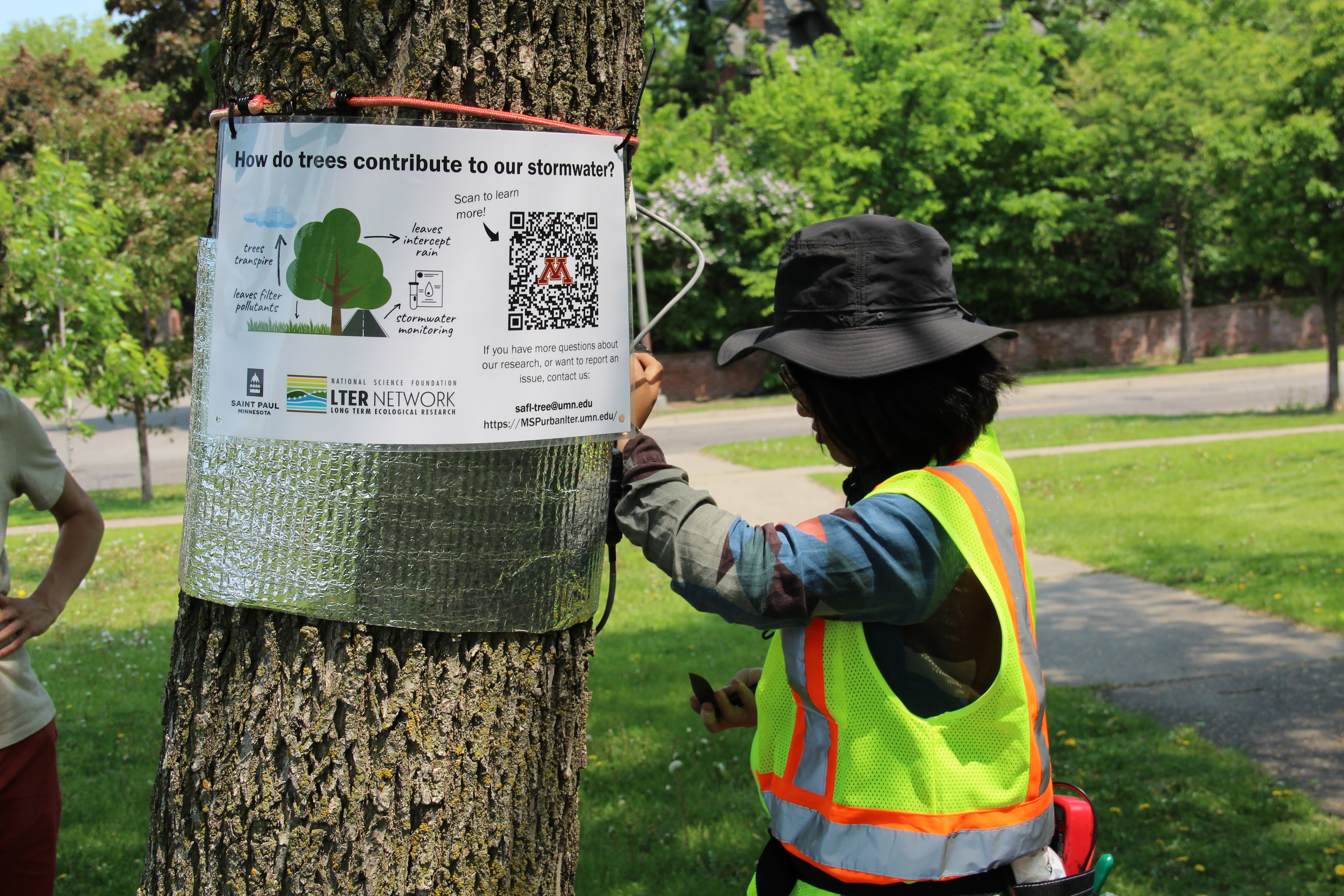 Foil wrap and sign on tree. Sign says, 'How do trees affect our stormwater?'