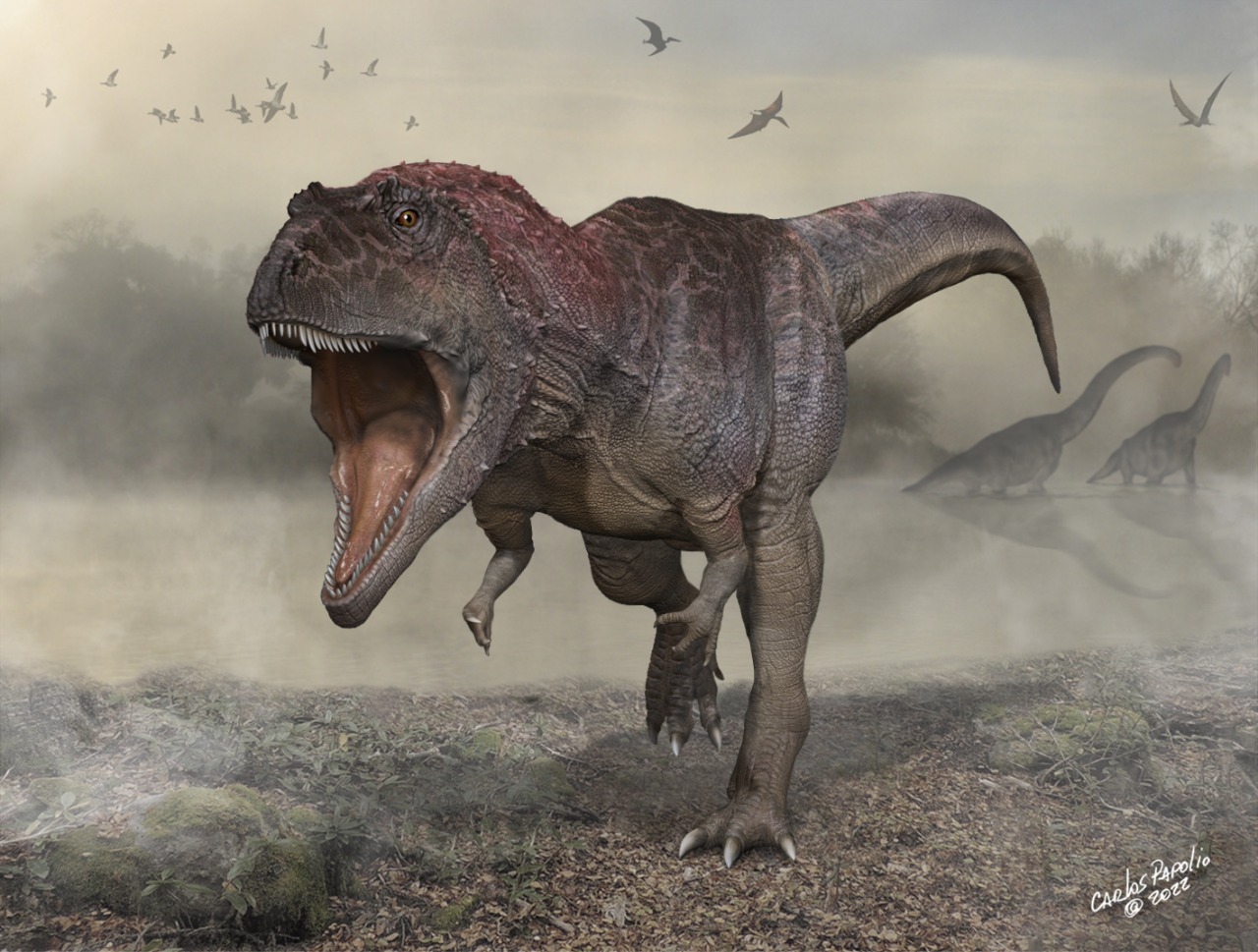 Meraxes Dinosaur reconstruction