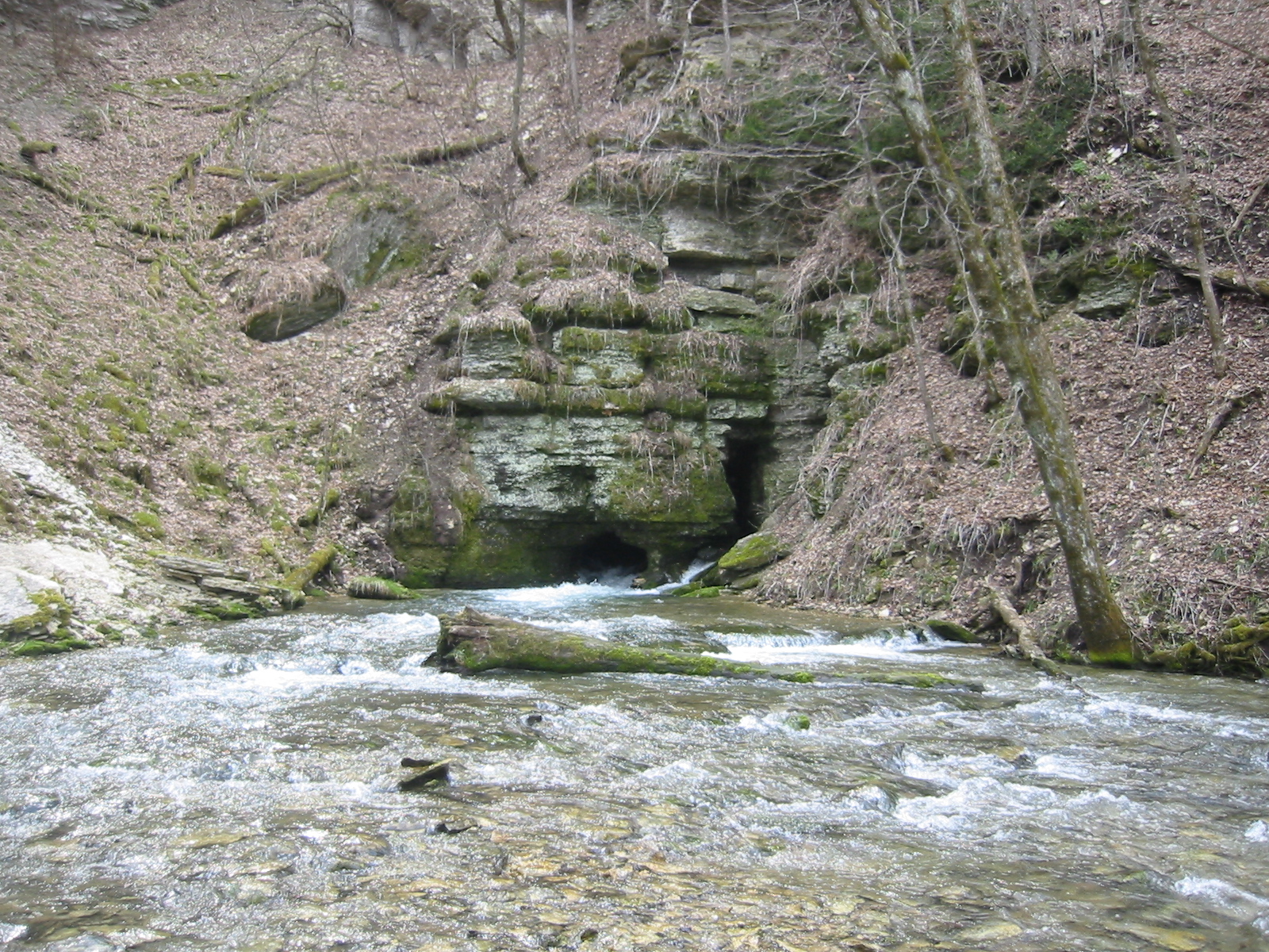 Moth Spring in Fillmore County. The spring emanates from the lower Cummingsville Formation.