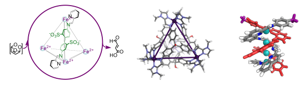 Figure 1. From left to right: catalytic transformation of a high-energy cyclic intermediate into a specific open-chain product; a spin-crossover cage that can magnetically sense guests; a CuI4 model compound for a series of copper-containing conjugated metallopolymers.