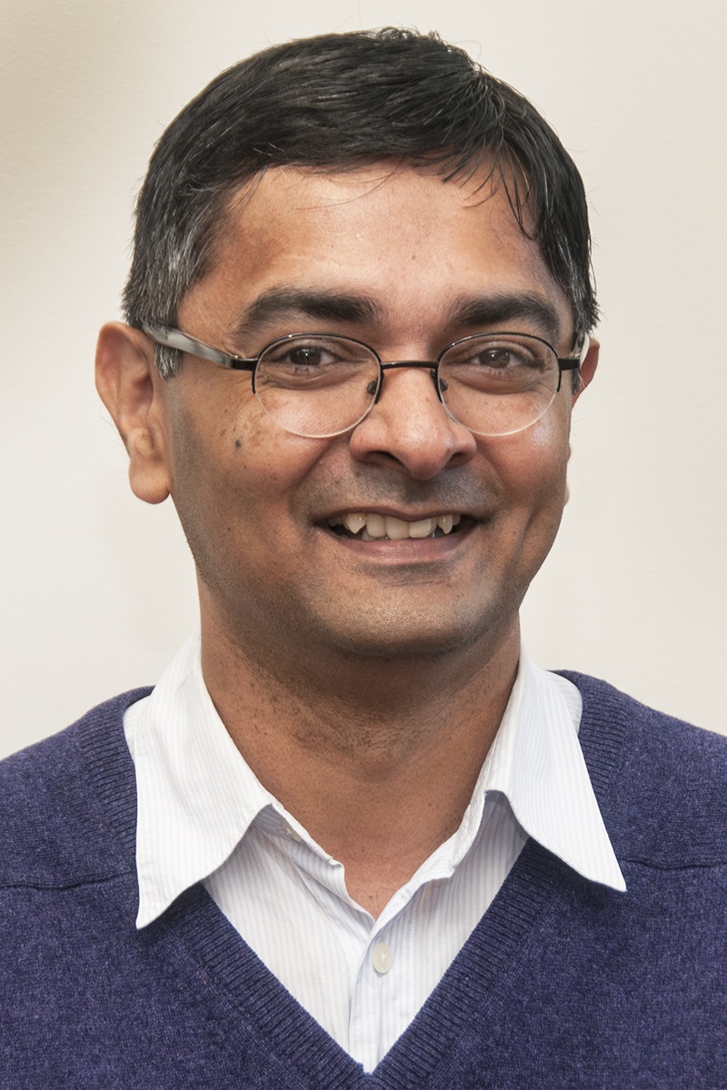 Professor Sachin Sapatnekar