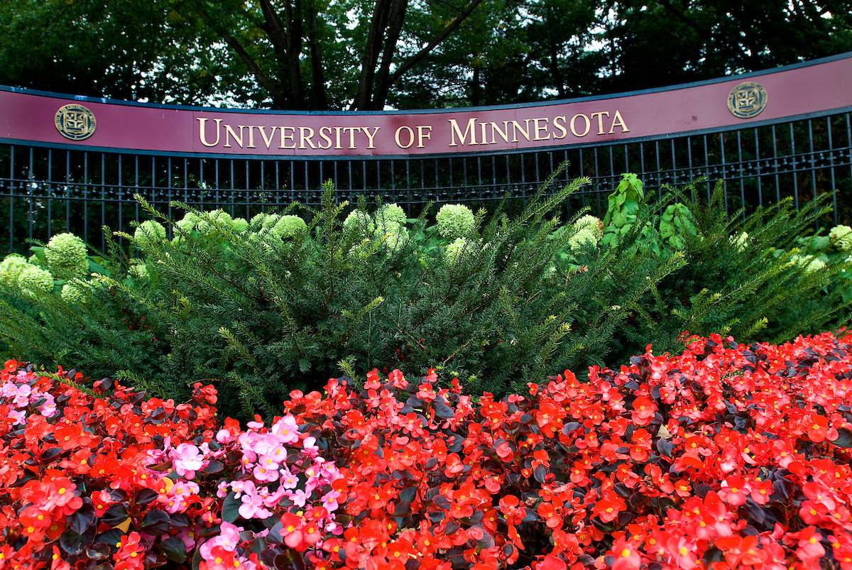 University of Minnesota entry in summer