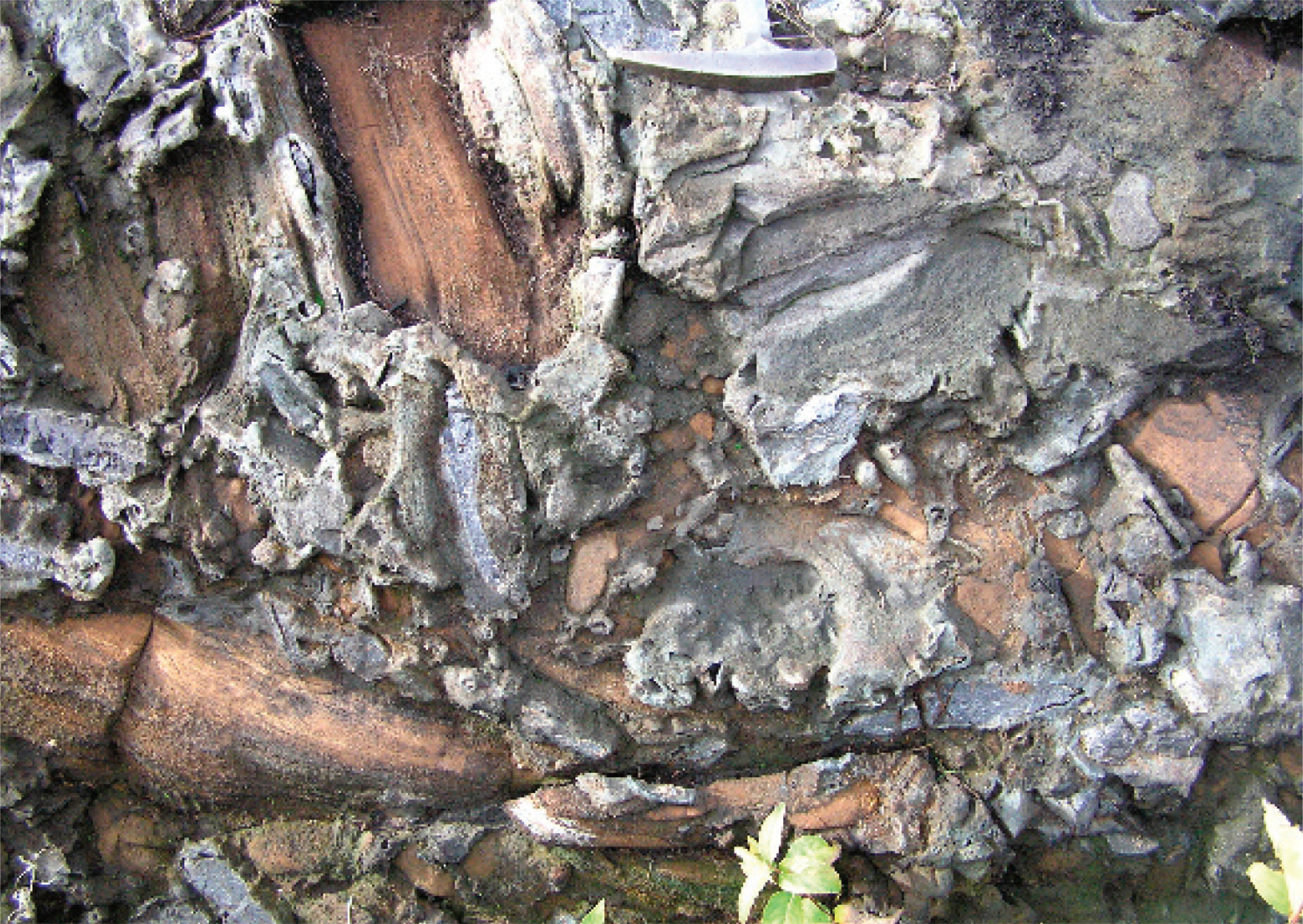 Reworked breccia containing iron-formation (reddish and gray-green fragments) and accretionary lapilli (gray spheres). Hammer head is 6 inches long.