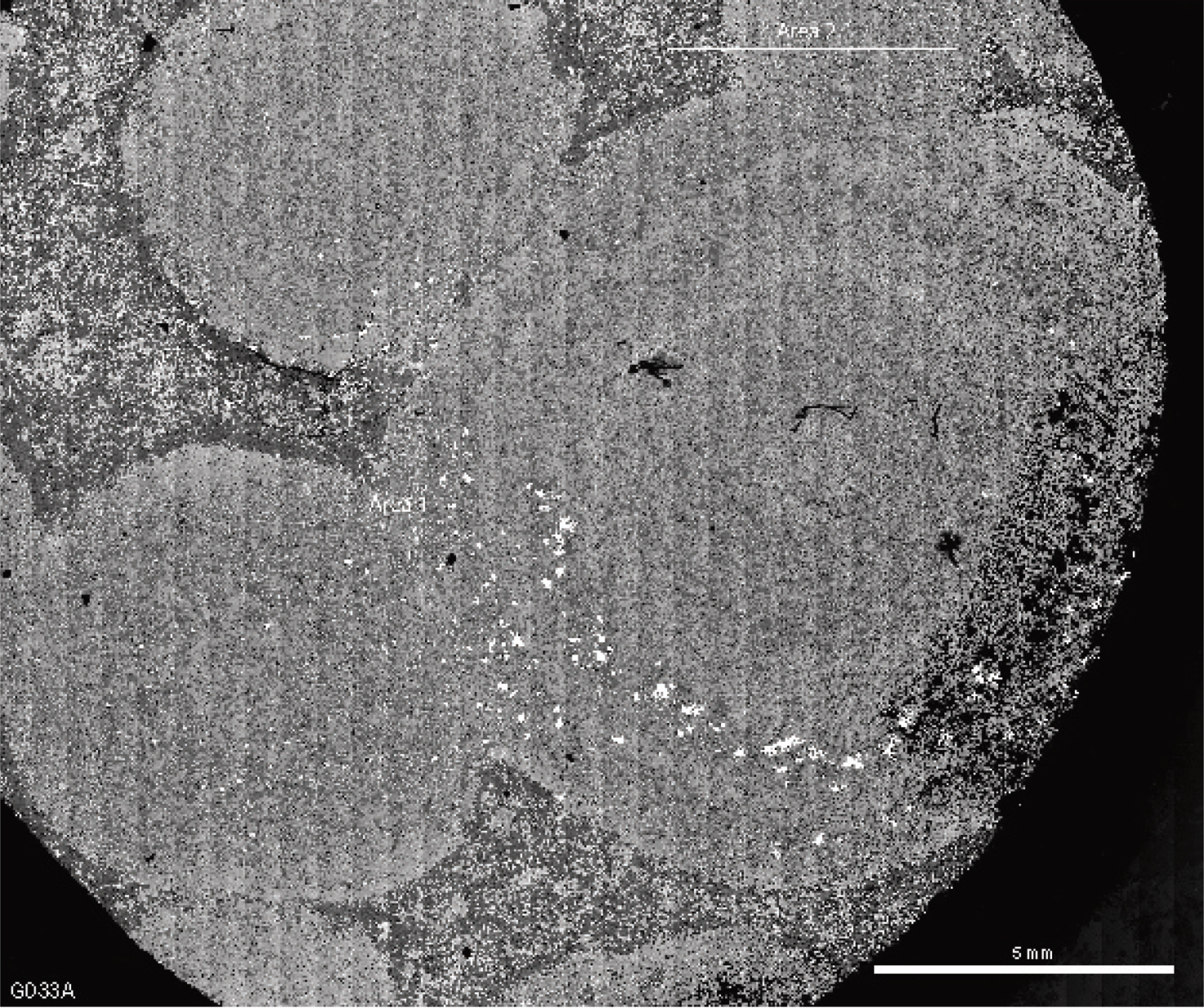 Electron microprobe image of accretionary lapilli (by McSwiggen and Associates, PA).