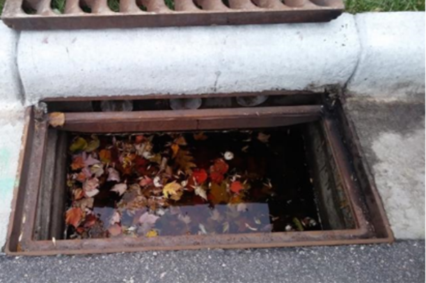 Photo of a storm drain