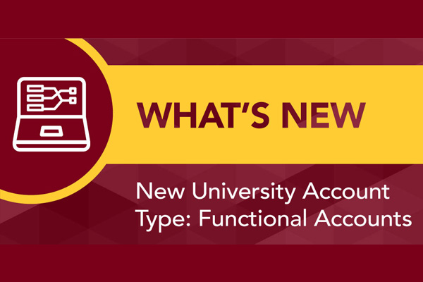 New University Account Type: Functional Accounts