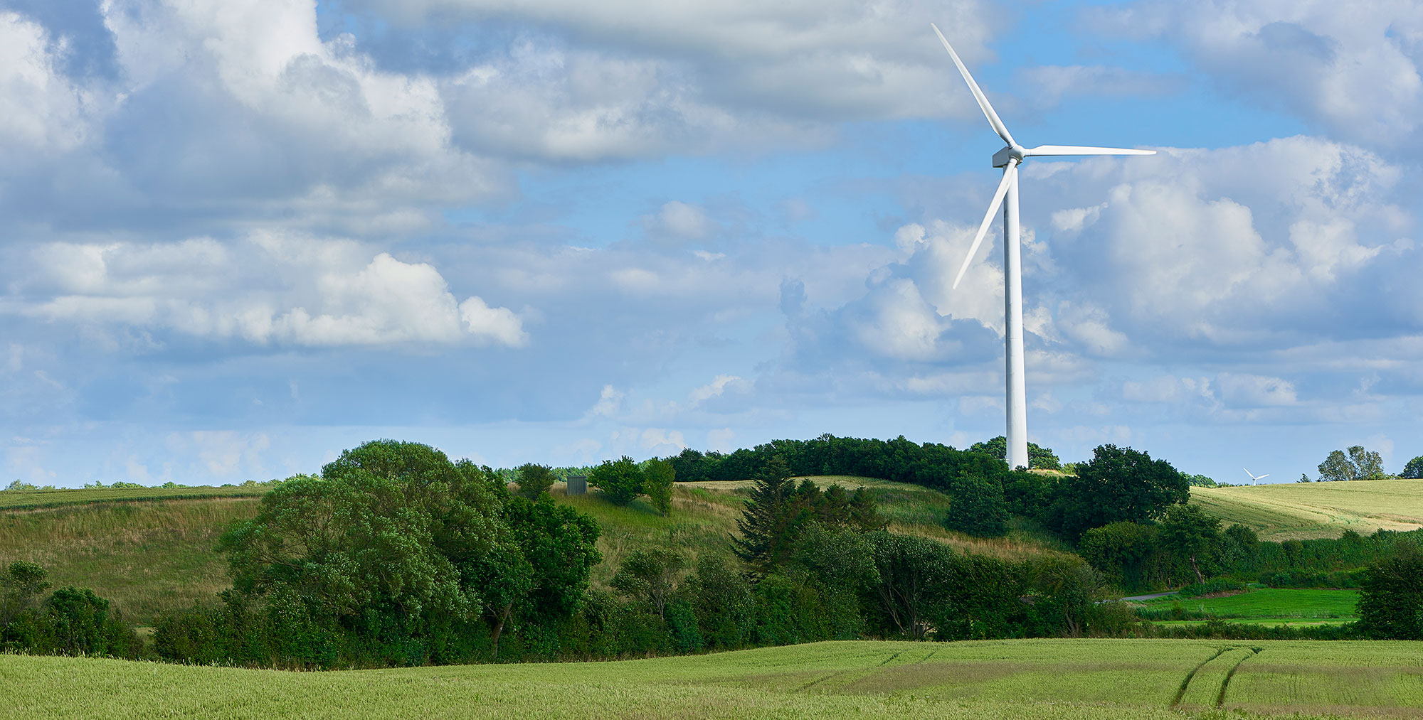 One wind turbine in a green field