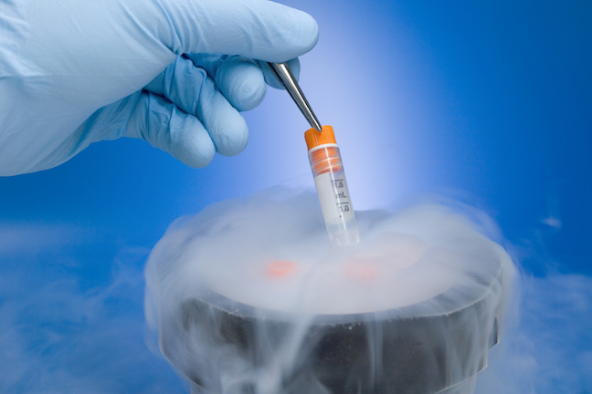 A hand taking a tube of cells out of cryopreservation