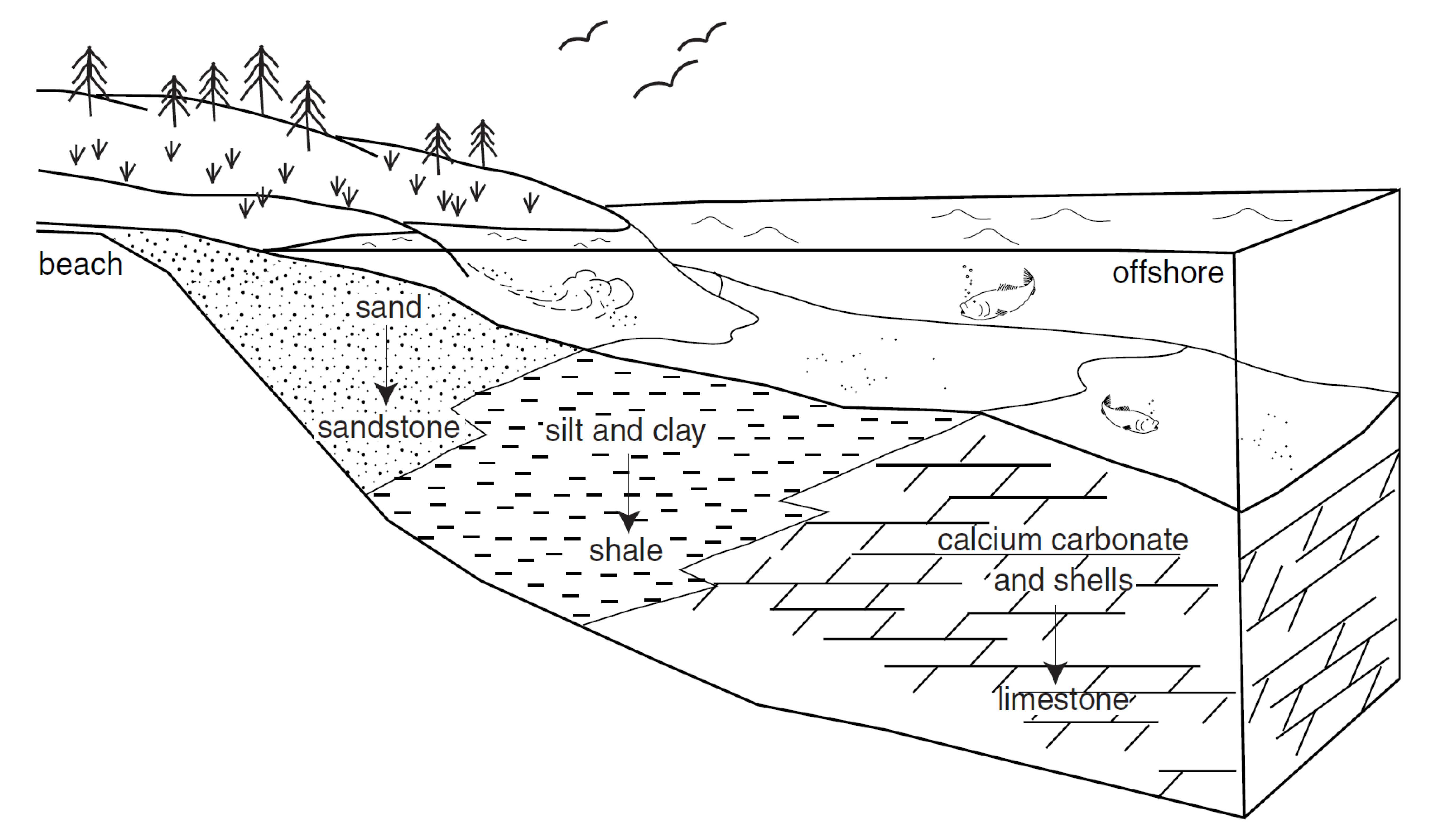 Cross-sectional view of the ocean from the shoreline to quieter water offshore.