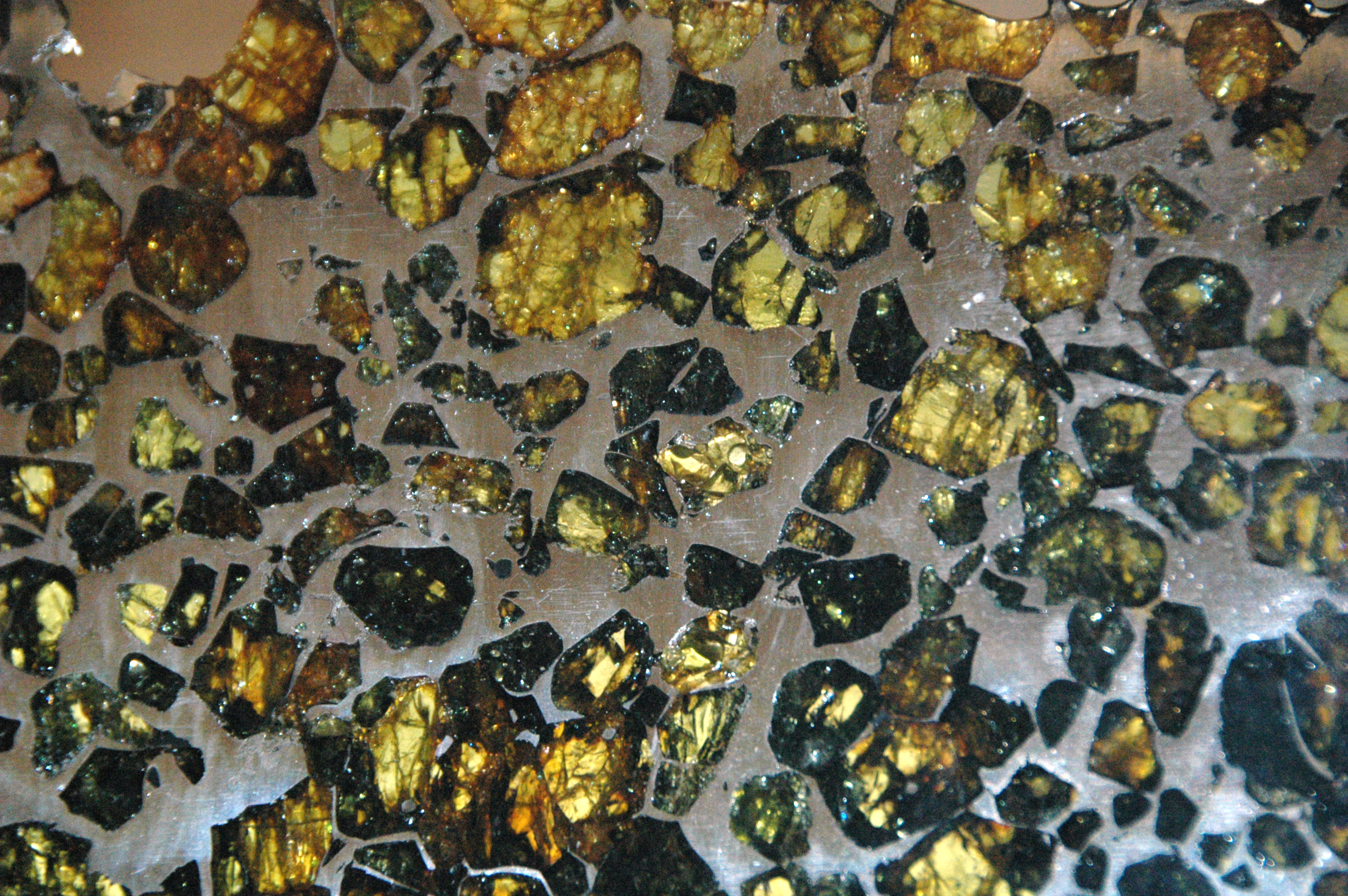 Cut and polished slice of a pallasite stony-iron meteorite. The green crystals are olivine surrounded by an iron-nickel metal matrix.