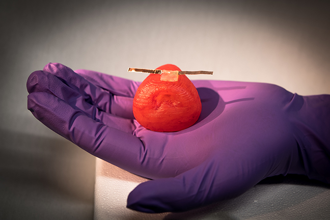 3D-printed prostate model with sensor in a gloved hand