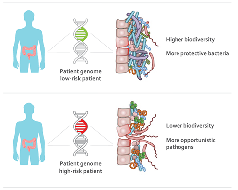 Gut bacteria graphic showing differences in bacteria diversity