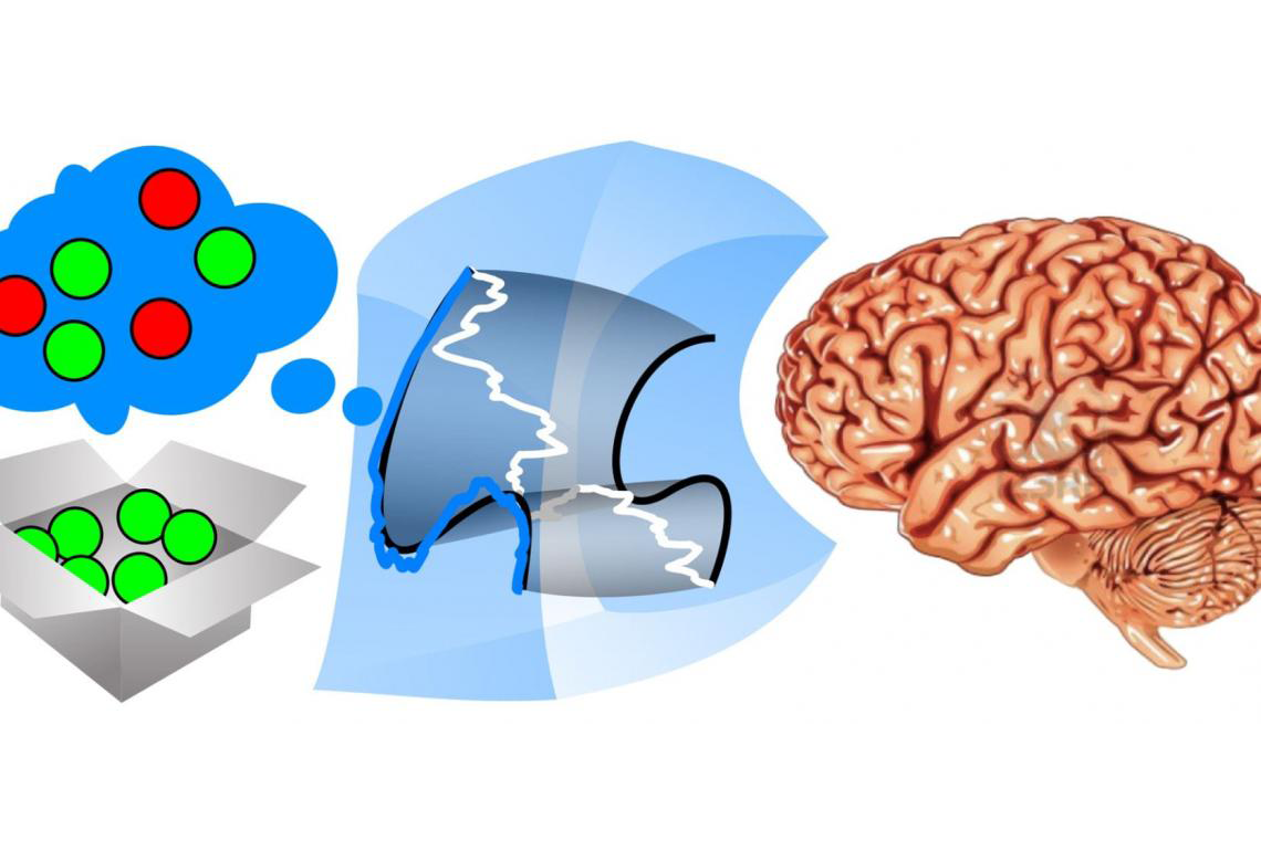 An illustration of the method for inferring thoughts within patterns of brain activity, based on observing behavior. In an experiment, an animal tried to determine if fruit was ripe (red) or not (green). All fruit were unripe (box, lower left), but the animal behaved as if it thought some were ripe (blue thought bubble).
