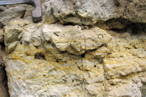 Quartzose sandstone of the Upper Cambrian Jordan Sandstone, Stillwater, Minnesota.