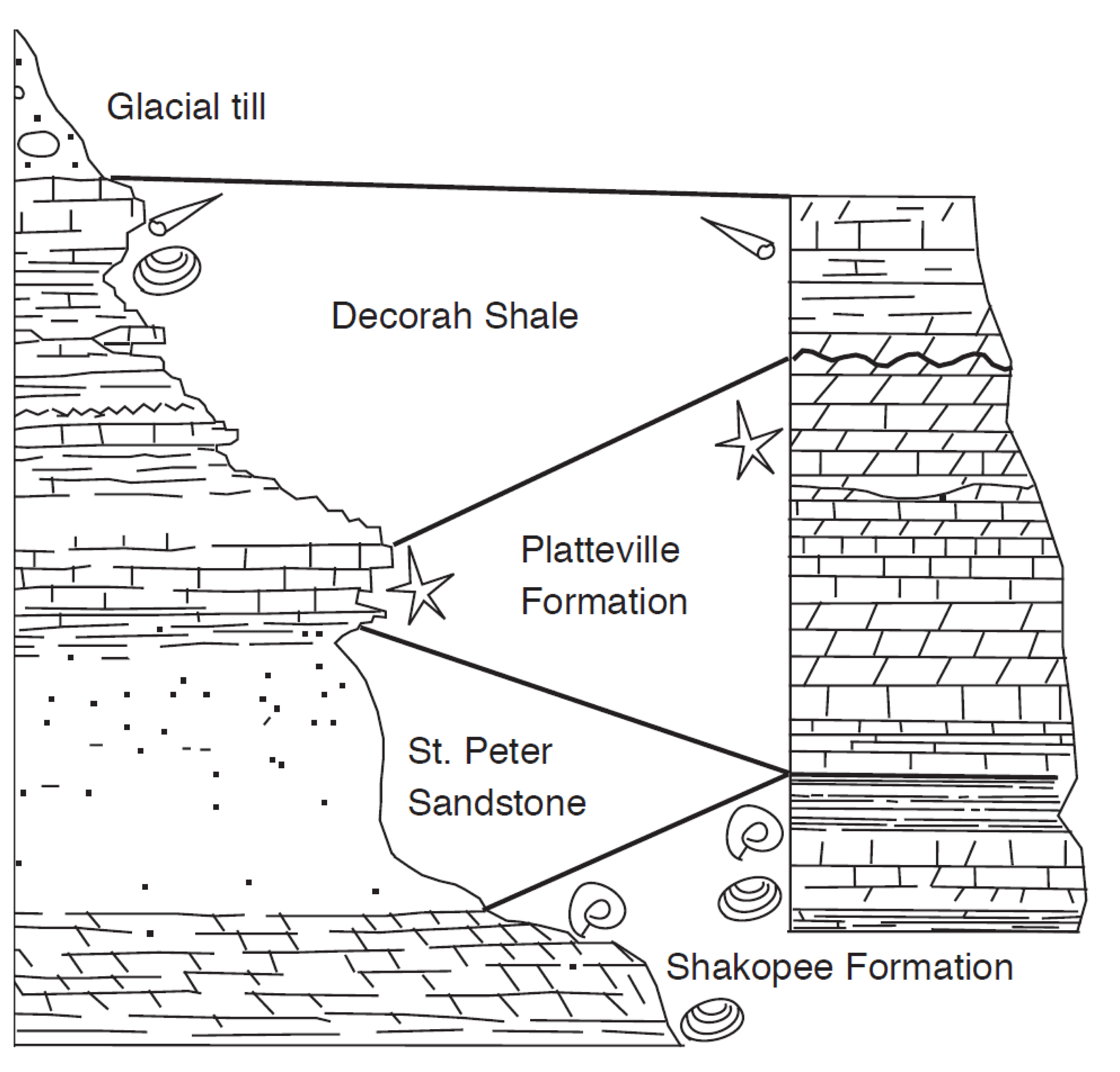 Rock layers within two different bluffs along the Mississippi River illustrate the principles of superposition and faunal assemblages.