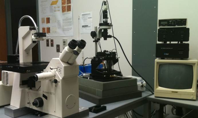 Keysight 5500 environmental SPM plus inverted light microscope and multifrequency methods