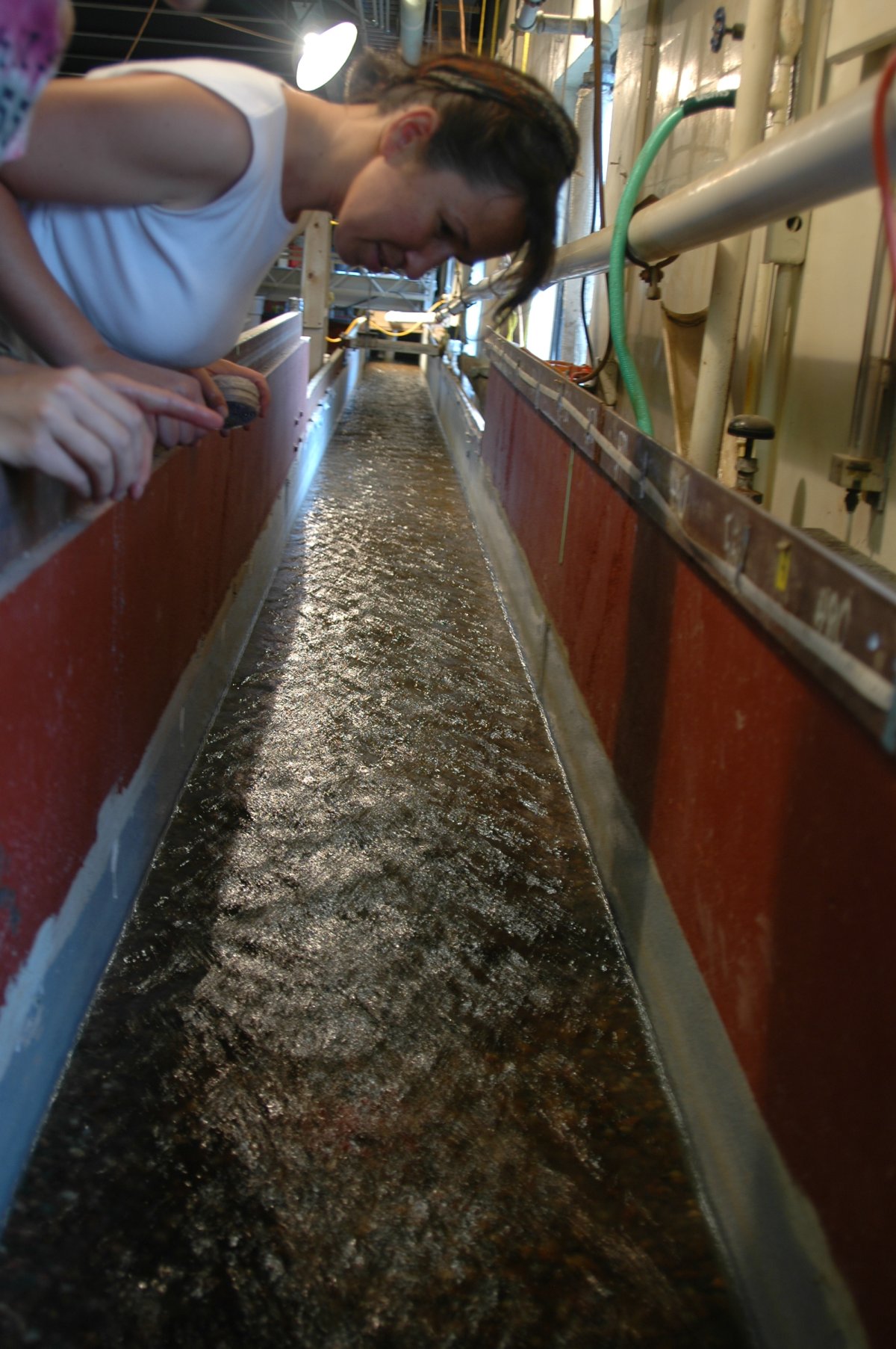 Kimberly Hill looking into the sediment transport flume