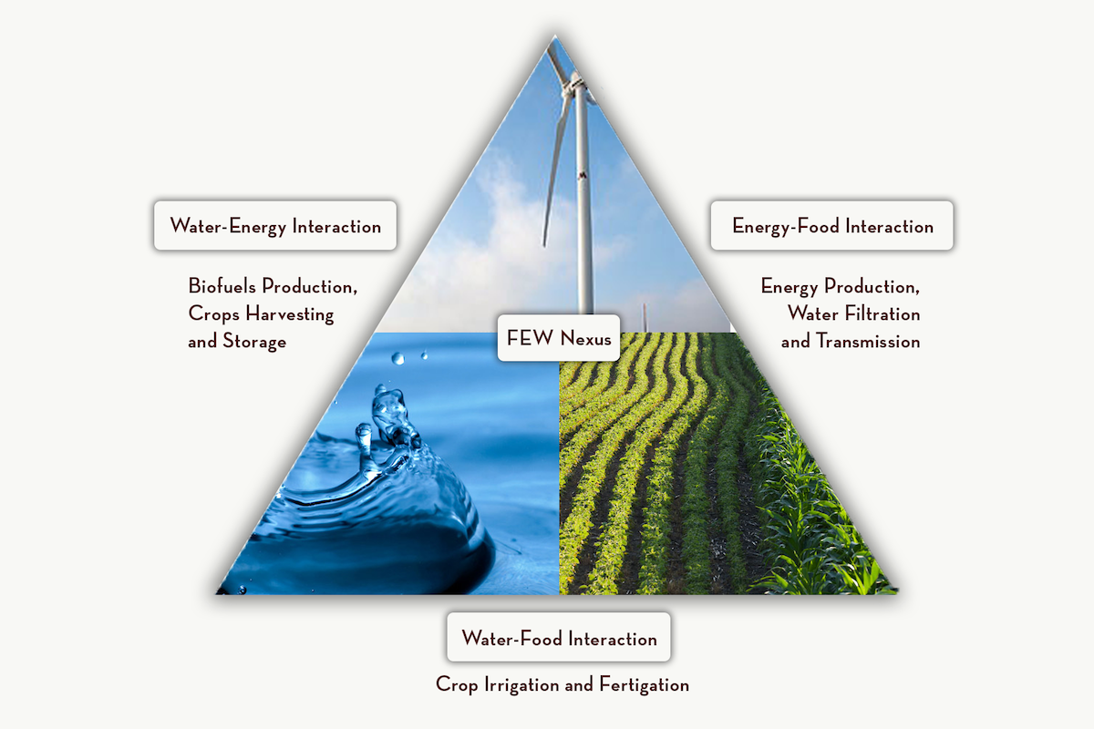 Food Energy Environment Nexus