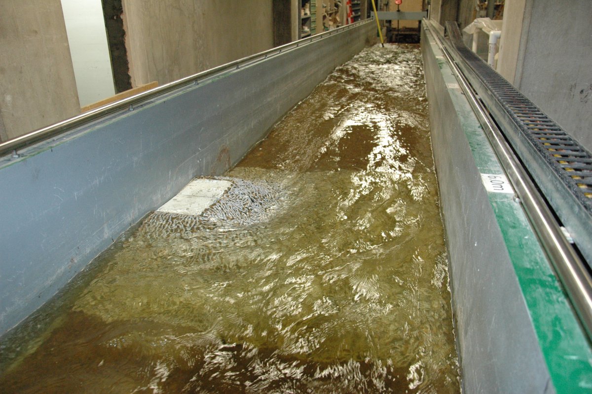 Photo of the tilting bed flume during an experimental flood