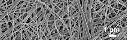 Microstructured Polymers (MP)