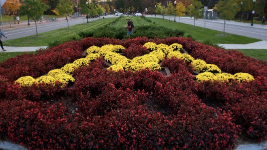 University of Minnesota logo in flowers
