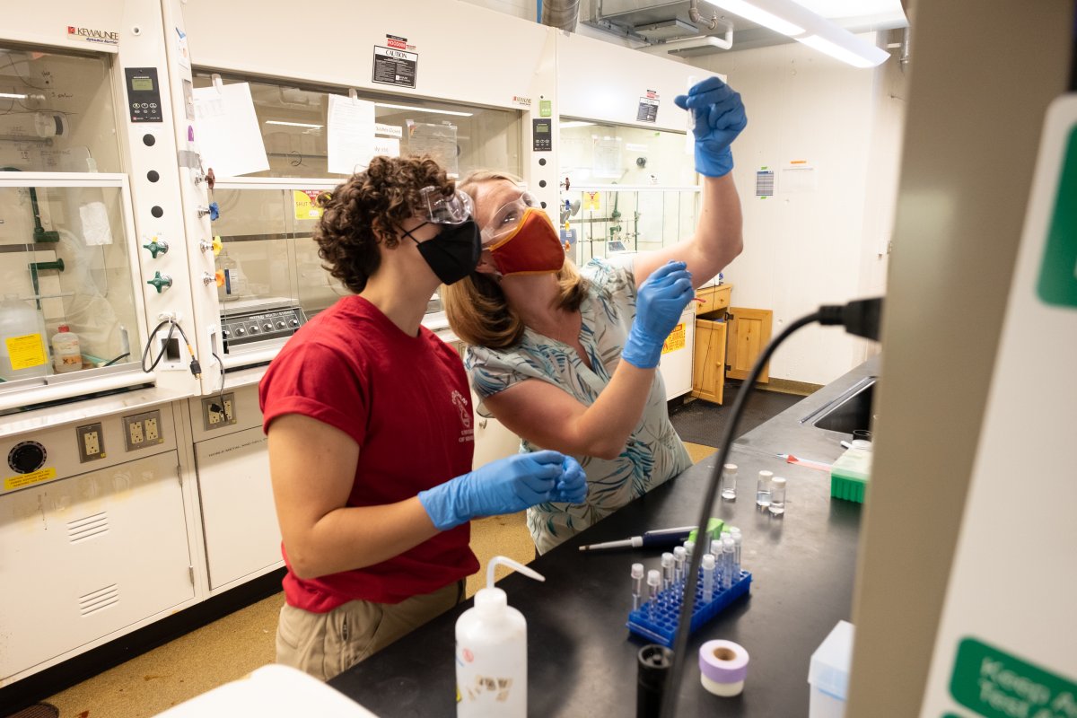 Chemistry professor Christy Haynes teaches a student in her lab