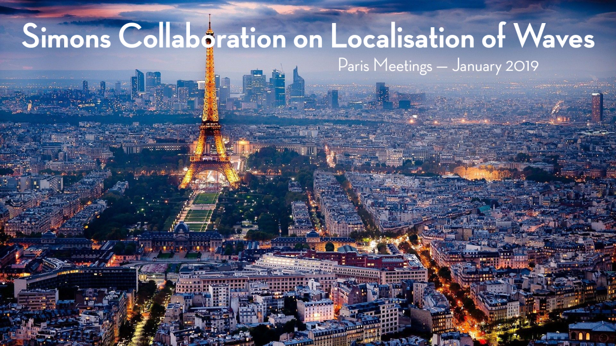 Simons Collaboration on Localization of Waves, Paris meetings January 2019, set in front of Paris landscape