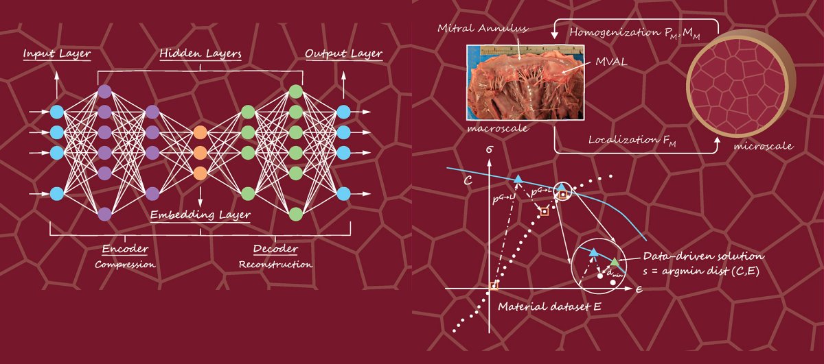 He's work on data-driven computational simulation of soft biomaterials