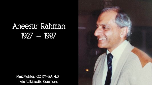Rahman Fellowship