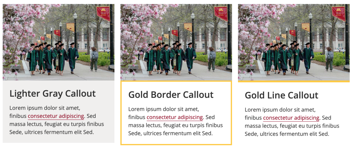 Examples of photo callouts on the University website