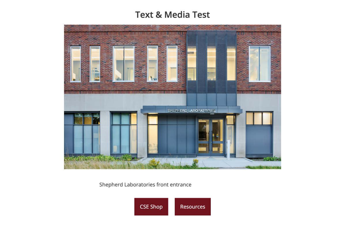 Example of a text & media widget in a two-column configuration with text and buttons below the media