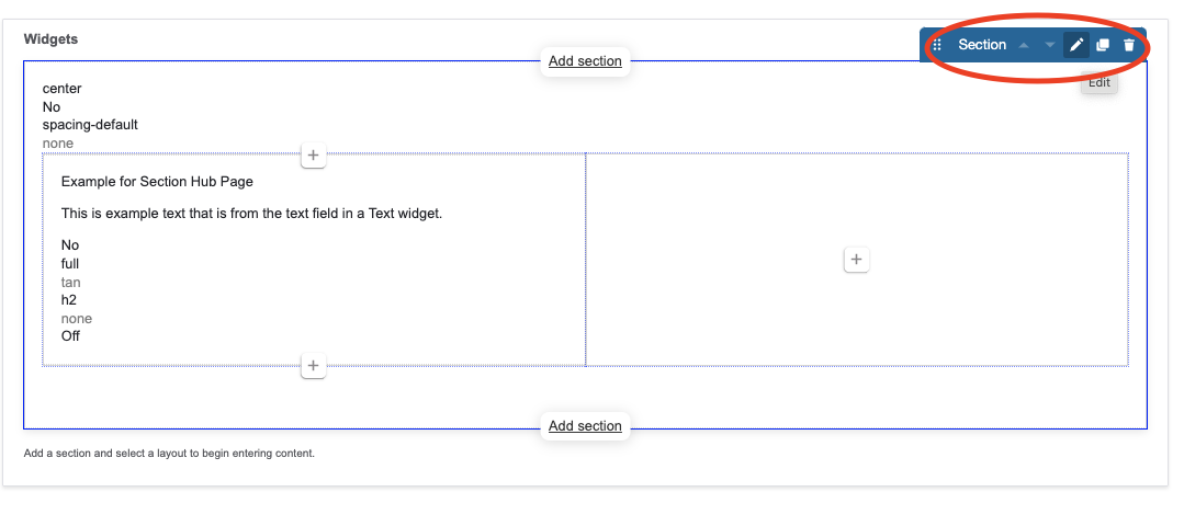 Section Edit Tab example