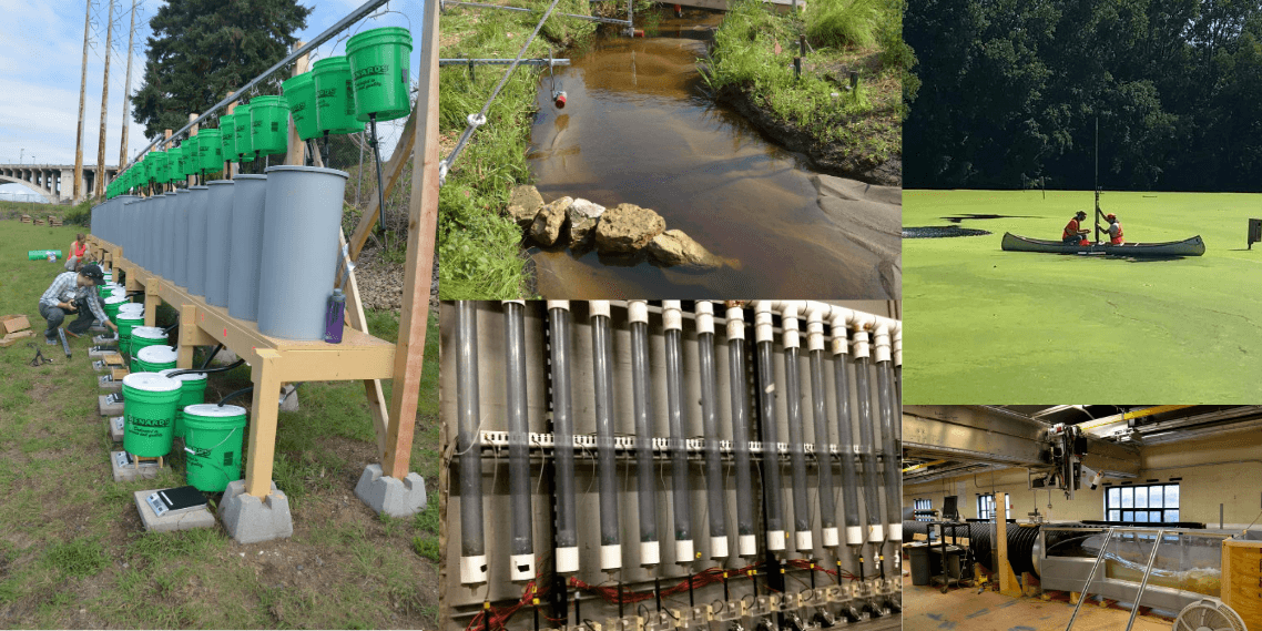 Photo collage of water management/water quality projects