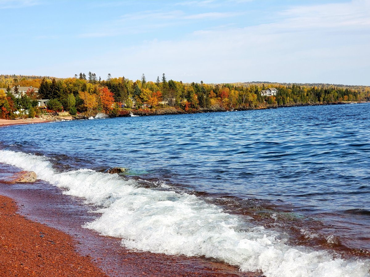 image of one of the great lakes beaches with a tree-filled shoreline