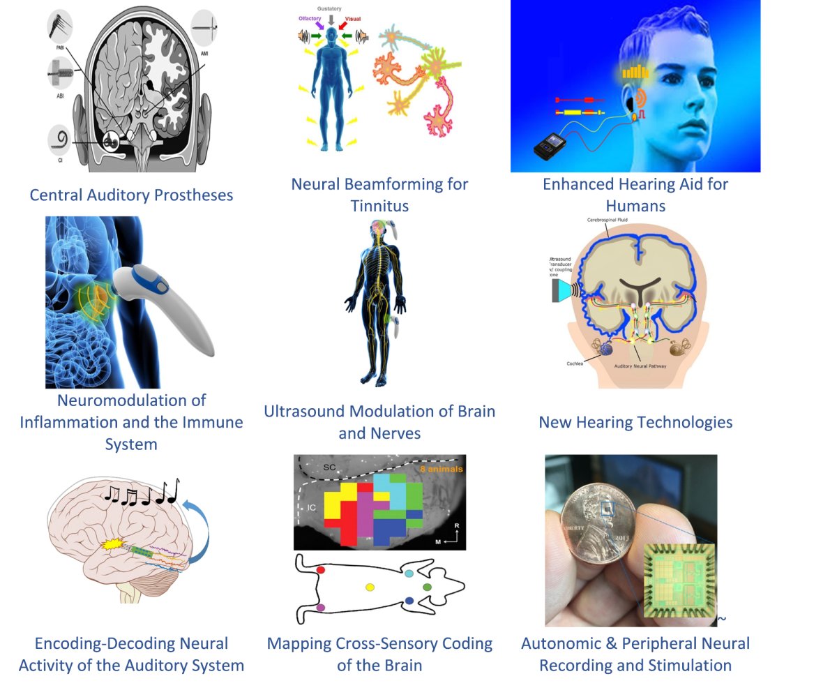 Central auditory prostheses, neural beamforming for tinnitus, enhanced hearing aids for humans, neuromodulation of inflammation and the immune system, ultrasound modulation of brain and nerves, new hearing technologies, encoding-decoding neural activity of the auditory system, mapping cross-sensory coding of the brain, and autonomic and peripheral neural recording and stimulation