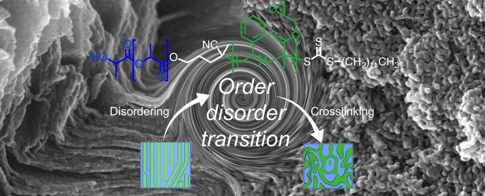 A composite image of polymer membrane.