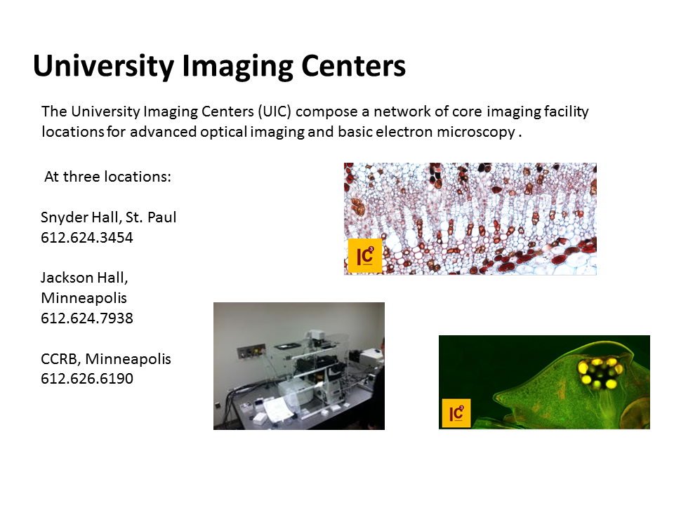 University Imaging Center