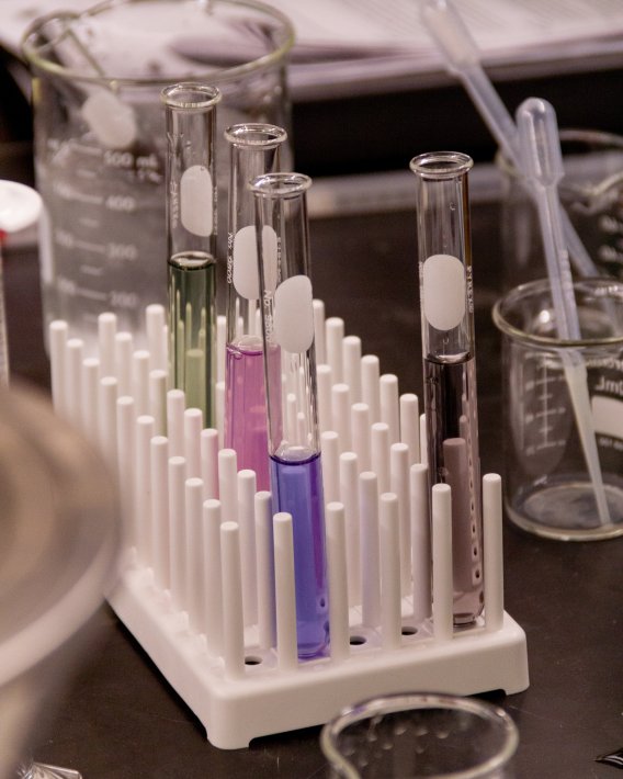 Vials containing multicolored liquid in a UMN Lab