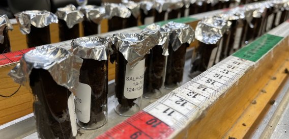 Rows of small glass vials are filled with dark sediment and topped with aluminum foil.