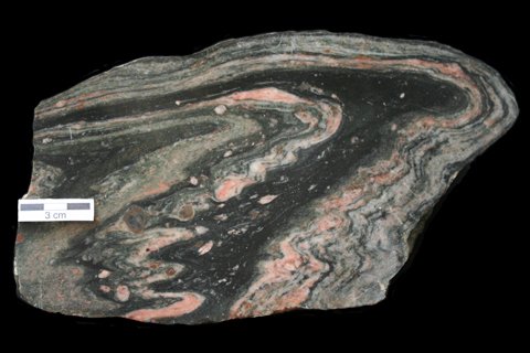 Polished section of a gneiss sample.