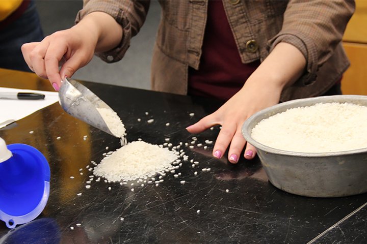 rice is used to demonstrate how soil behaves