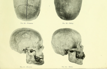 Harry Wu's Talk Image skulls 